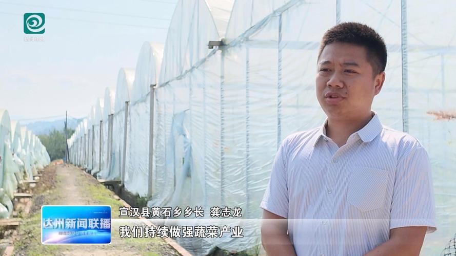 宣汉县黄石乡阳雀村蔬菜种植基地负责人 彭文:我们根据市场需求选择了